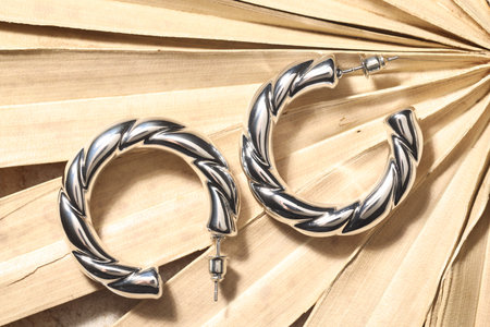Shiny silver earrings on dry palm leaf, top view
