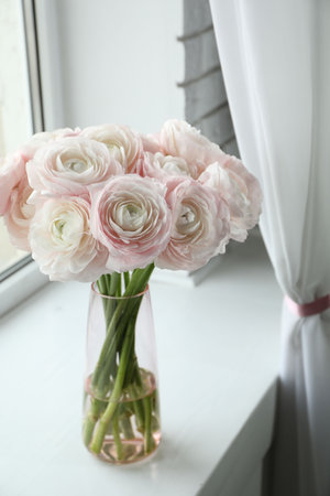 Beautiful ranunculus flowers in glass vase on white window sill indoors