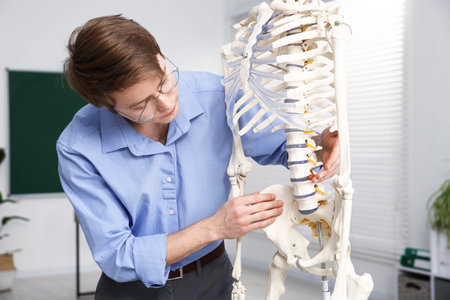 Teacher demonstrating human skeleton model in classroom. Anatomy lesson