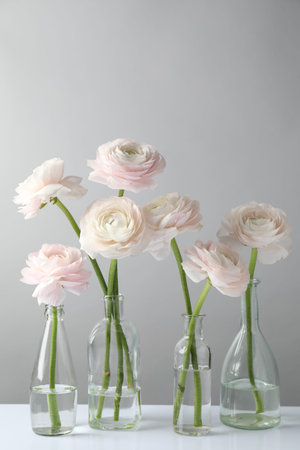 Beautiful ranunculus flowers in glass bottles on white table against grey background, closeup