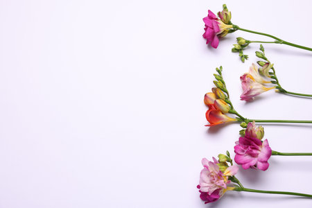 Bright freesia flowers on white background, flat lay. Space for textの写真素材