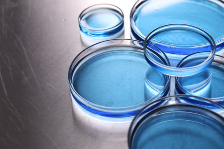 Biochemistry. Petri dishes with samples on table, closeup. Space for text