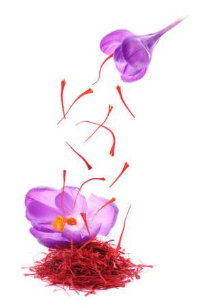 Saffron falling from crocus flower onto heap on white background. Aromatic spice