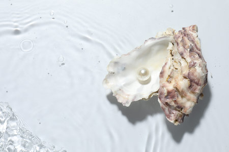 Oyster shell with pearl in water on white background, top view. Space for text