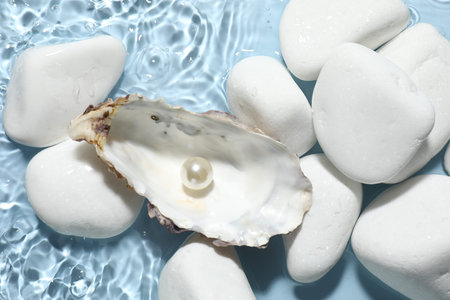 Oyster shell with pearl and stones in water on light blue background, flat lay