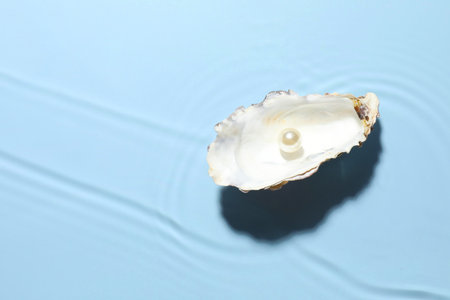 Oyster shell with pearl in water on light blue background, top view. Space for text
