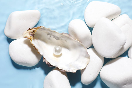 Oyster shell with pearl and stones in water on light blue background, flat lay