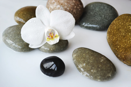 Spa stones and beautiful white orchid flower.の写真素材