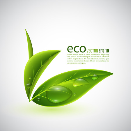 Realistic eco leaves with transparent water drops. Abstract ecology background. Vector illustration.のイラスト素材