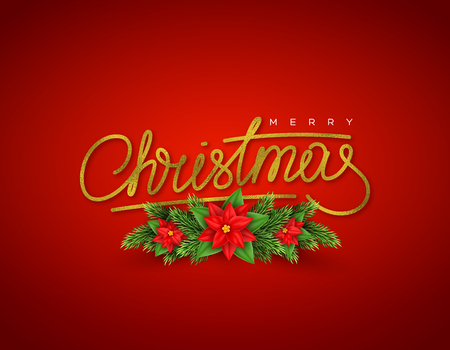 Christmas holiday background with fir-tree and poinsettia. Glitter calligraphic sigh Merry Christmas. Vector illustration.のイラスト素材