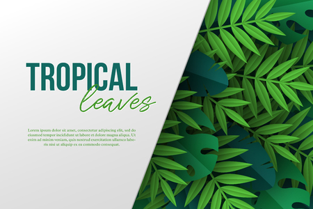 Banner with exotic jungle tropical palm leaves. Summer floral design, paper cut style. Copy space. Vector illustration.のイラスト素材