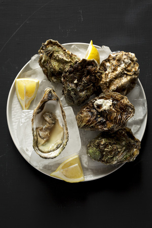Fresh oysters on a plate over black background, top view. Overhead, flat lay, from above. Close-up.の写真素材
