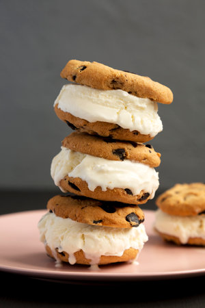 Homemade Chocolate Chip Cookie Ice Cream Sandwich on a pink plate, side view. Close-up.