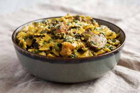 Homemade One-Pot Chicken and Mushroom Pasta in a Bowl, side view. close-up.の写真素材