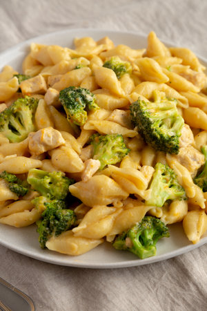 Homemade Cheesy Chicken And Broccoli Pasta on a Plate, side view.の写真素材