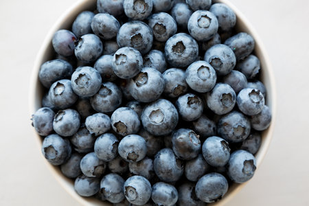 Organic Blueberries in a Bowl on a gray background, top view. Flat lay, overhead, from above.