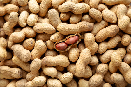 Organic Raw Peanuts, top view.の写真素材