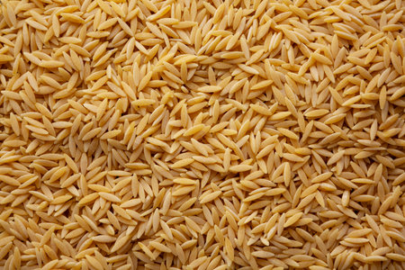 Organic Dried Orzo Pasta in a Bowl, top view.の写真素材