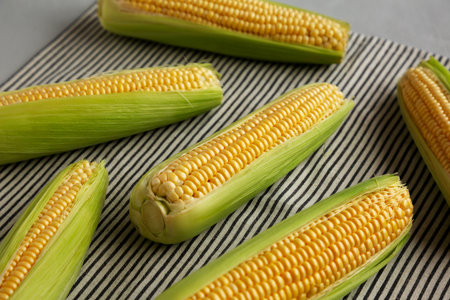 Fresh Raw Organic Corn on the Cob in the Husk, side view.