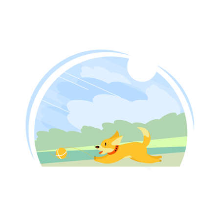 Shepherd dog-welsh - corgi-pembroke on the lawn runs after the ball. Summer landscape. Vector illustration. Flat style. Standard breed design, side view. Cartoon character of a dog. Pet..のイラスト素材