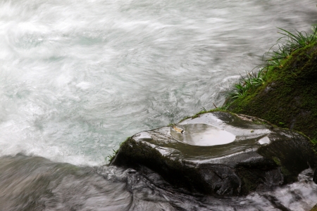 stream scenery in Zhangjiajie National Geological Park, Hunan, Chinaの写真素材