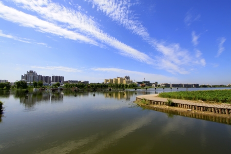 Wide water surface and high rise buildings in a parkの写真素材