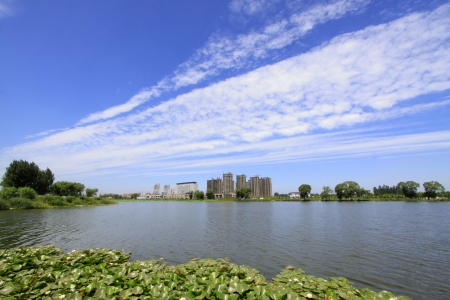 Wide water surface and buildings in a parkの写真素材