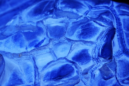 rock pattern in the wild, closeup of photoのeditorial素材