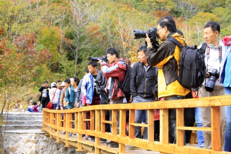BENXI - OCTOBER 4: Many tourists come to resort to appreciate maples on October 4, 2013, Benxi city, Liaoning province, China 
のeditorial素材