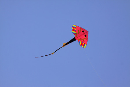 sole modelling kite floating in the skyの写真素材