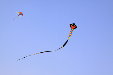 cobra modelling kite floating in the skyの写真素材