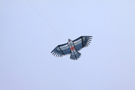 eagle modelling kite floating in the skyの写真素材