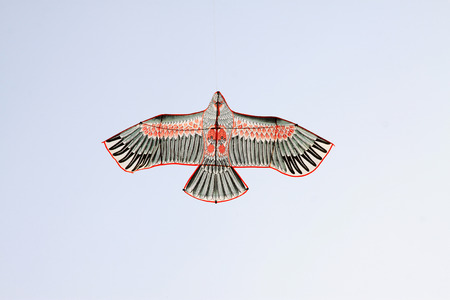 eagle modelling kite floating in the skyの写真素材