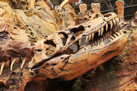 TIANJIN - MAY 17: Dinosaur bones modelling architecture, Happy Valley, on May 17, 2014, Tianjin, China. 
のeditorial素材
