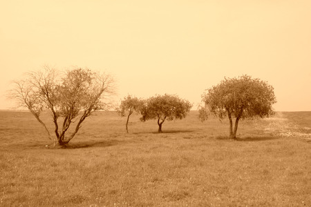 natural scenery in the WuLanBuTong grassland, Inner Mongolia autonomous region, China. の写真素材