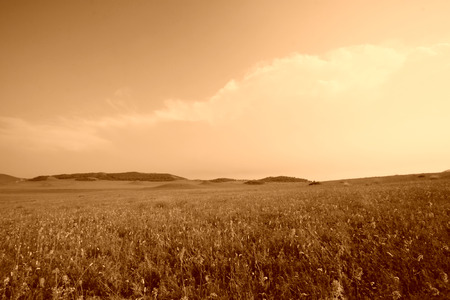 blue sky and white clouds in the WuLanBuTong grassland, closeup of photo の写真素材