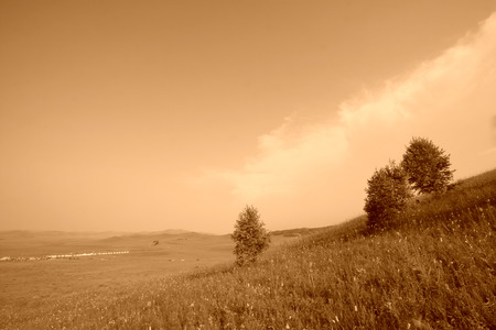 WuLanBuTong grassland scenery, closeup of photo  の写真素材