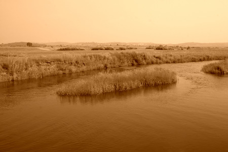 TULIGEN GRASSLAND - JULY 20: Tuligen River scenery in the grassland on July 20, 2014, Xilin gol league, Inner Mongolia autonomous region, China. 
の写真素材