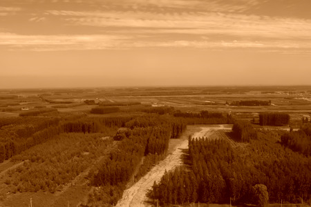 vast forest under the blue sky, north chinaの写真素材