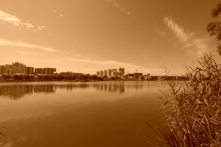 Wide water surface and high rise buildings in a parkの写真素材