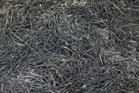 Straw ash, closeup of photo