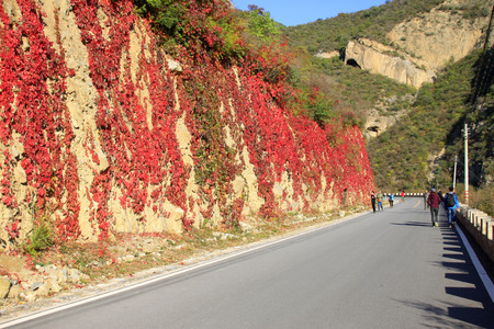 asphalt roads in a scenic spot between mountains, Beijing, Chinaのeditorial素材