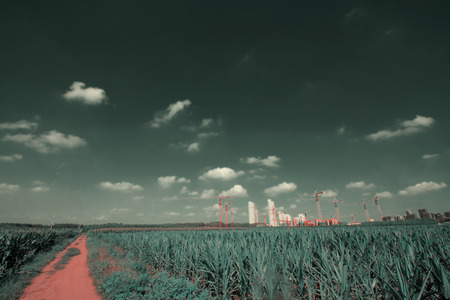 fields and tower crane under blue sky, closeup of photoの写真素材