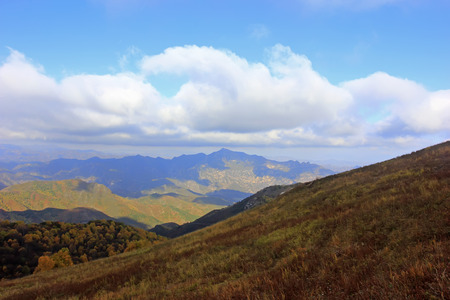 Natural scenery, closeup of photoの写真素材