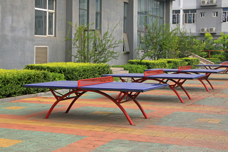 Table tennis on campus, closeup of photoのeditorial素材