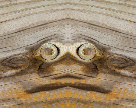 Wood texture, closeup of photoの写真素材