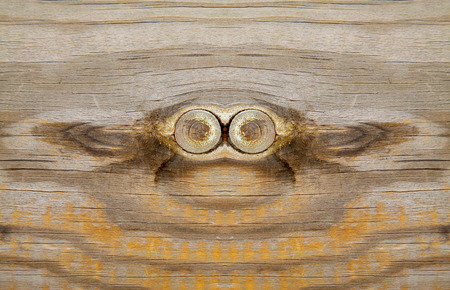 Wood texture, closeup photoの写真素材