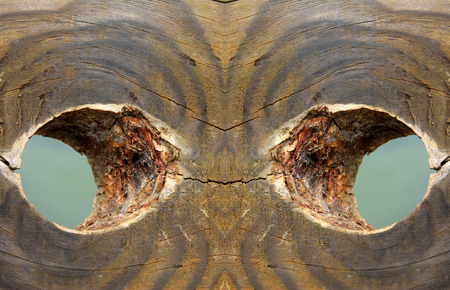 Wood texture, closeup photoの写真素材