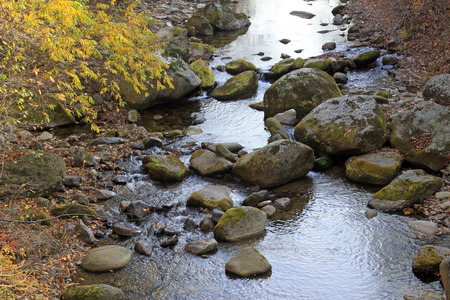 rock and creek, closeup of photo