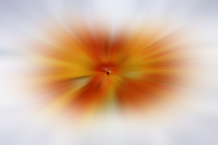 closeup of photo, beautiful color patterns, computer generated images